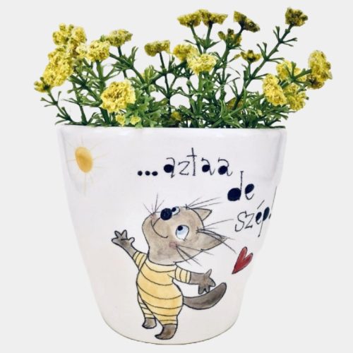 Cicás kaspó - ... aztaa de szép!