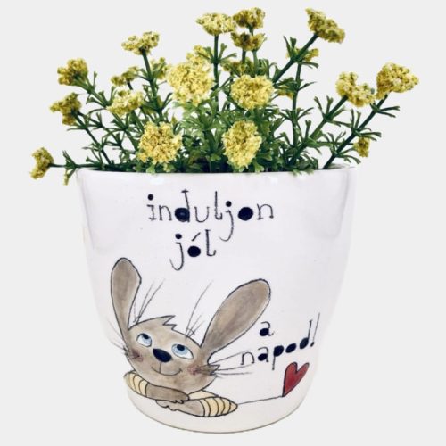 Nyuszis kaspó - induljon jól a napod!