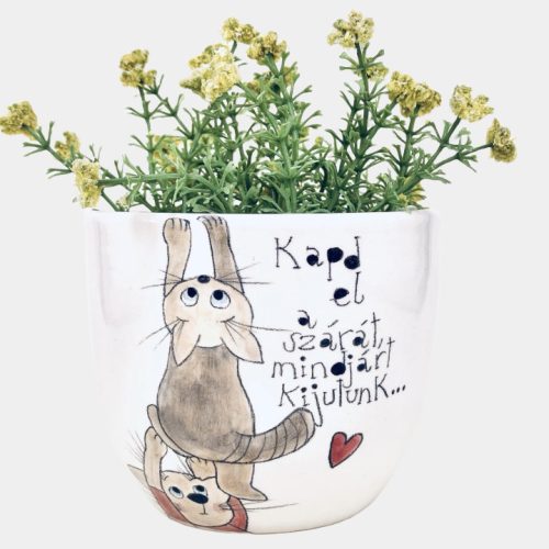 Cicás kaspó - kapd el a szárát...