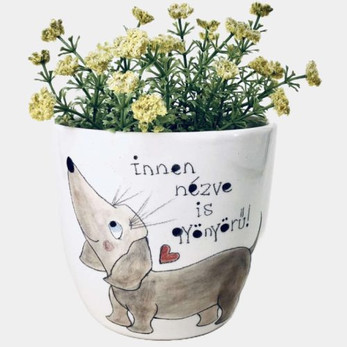 Tacsis kaspó - innen nézve is gyönyörű!