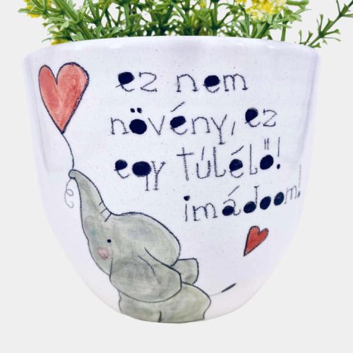 Elefántos kaspó - ez nem növény, ez egy túlélő!